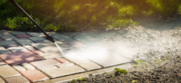 Best Driveway Pressure Washing  in Dunnellon, FL
